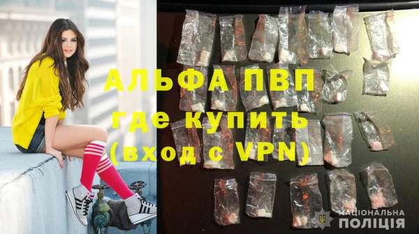 гашик Зерноград