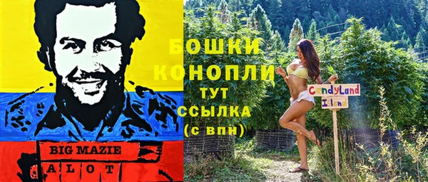 PSILOCYBIN Чекалин
