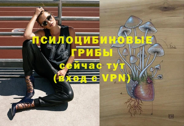 гашик Зерноград