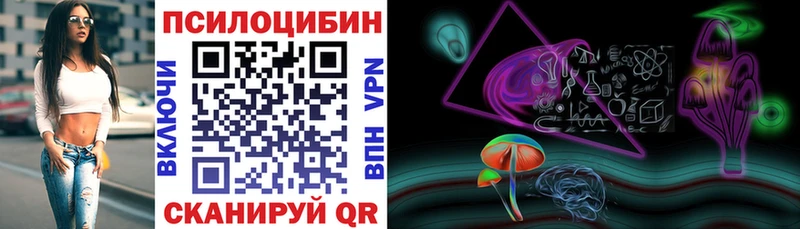 Псилоцибиновые грибы Cubensis  Ветлуга 
